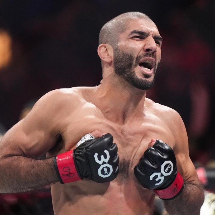 Aiemann Zahabi